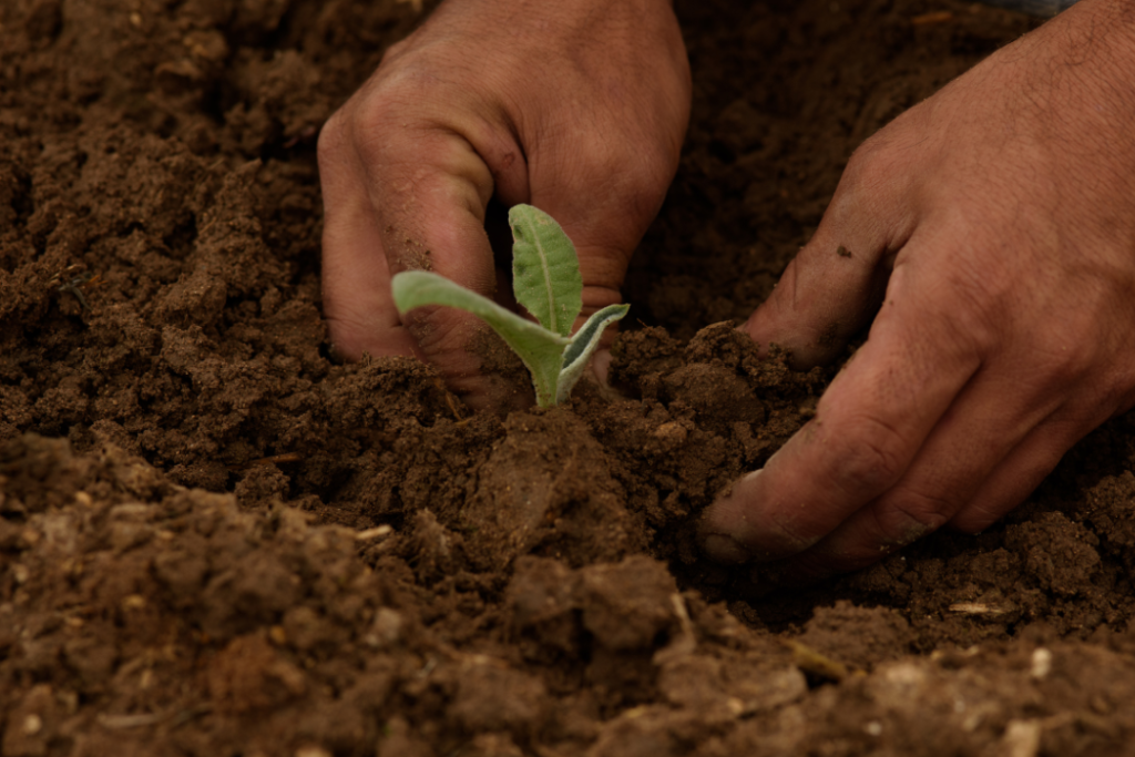 Ambienta enters sustainable agriculture with Agronova acquisition