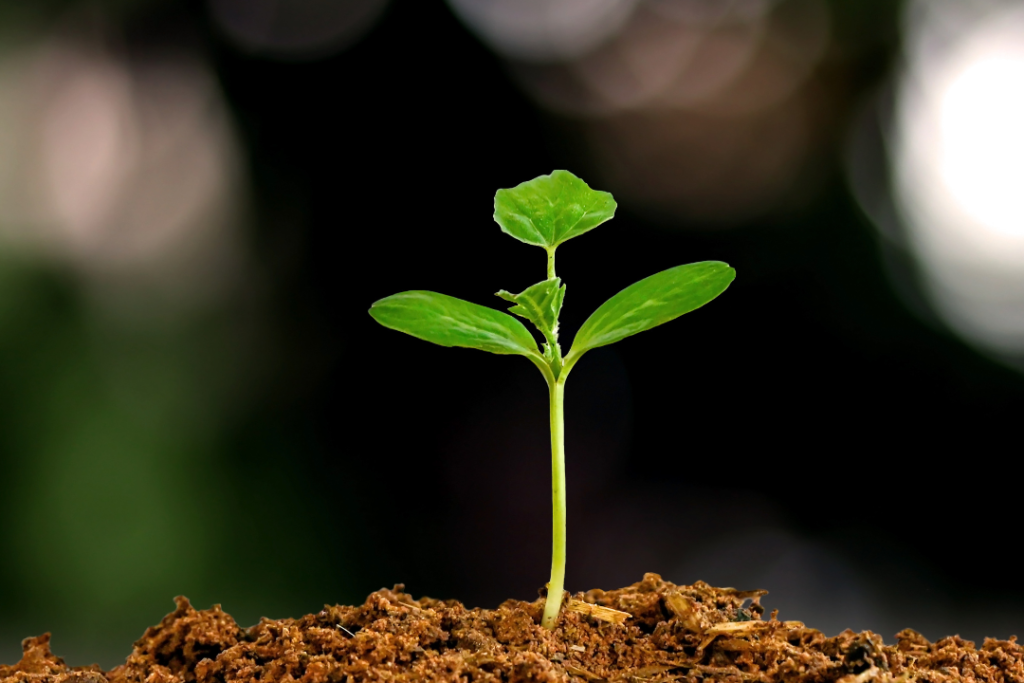 EFRAG moves to simplify European sustainability reporting rules