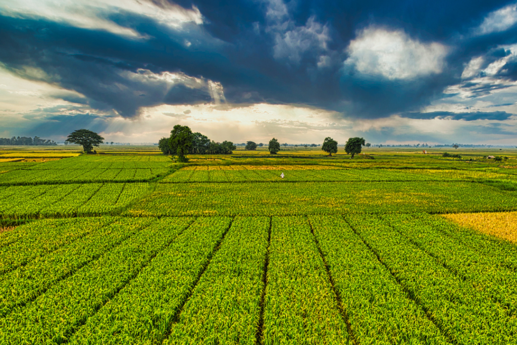 Varaha secures $30 million to scale regenerative agriculture across India