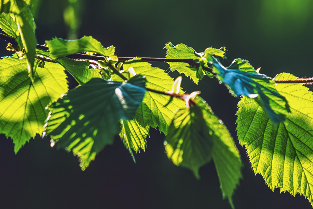 Lenzing and OceanSafe unveil new sustainable yarn for next-gen performance textiles