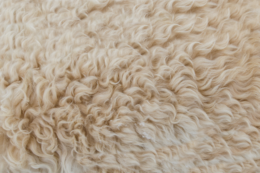 Yorkshire wool heritage fuels new circular manufacturing effort